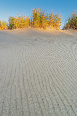 BUITEN BEELD Foto: 418887