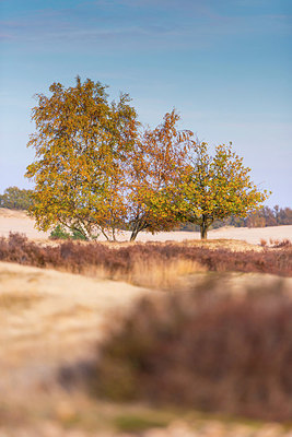 BUITEN BEELD Foto: 418894