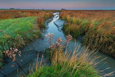 BUITEN BEELD Foto: 418896