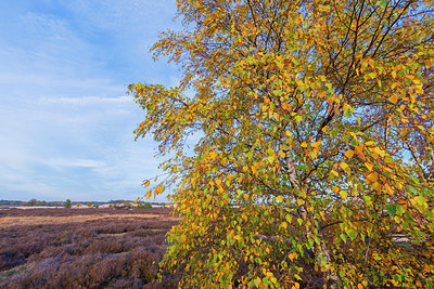 BUITEN BEELD Foto: 418900