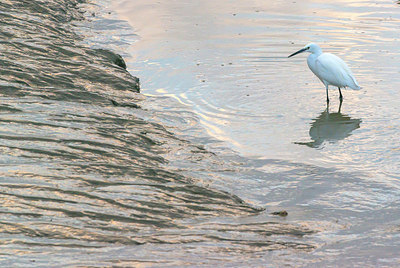 BUITEN BEELD Foto: 418908