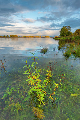 BUITEN BEELD Foto: 418916