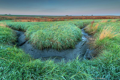 BUITEN BEELD Foto: 418921