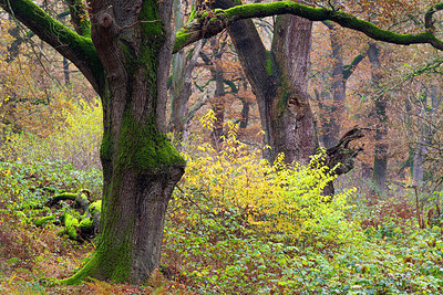 BUITEN BEELD Foto: 418930