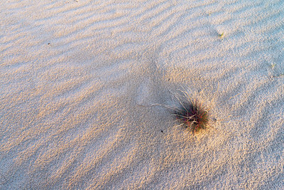 BUITEN BEELD Foto: 418976
