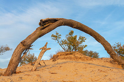 BUITEN BEELD Foto: 418987