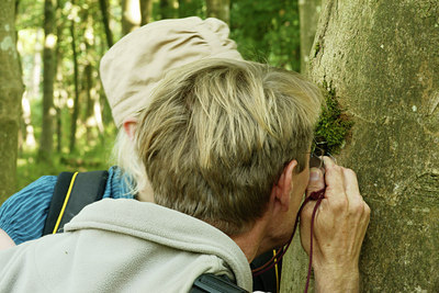 BUITEN BEELD Foto: 41069