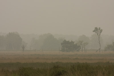 BUITEN BEELD Foto: 41086