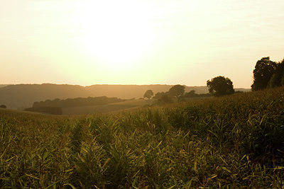 BUITEN BEELD Foto: 41087