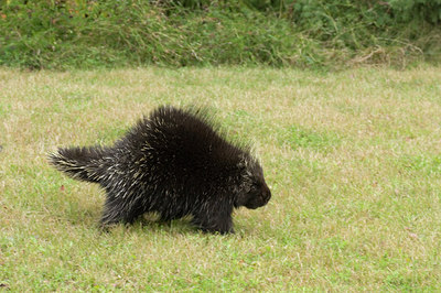 BUITEN BEELD Foto: 41200