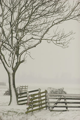 BUITEN BEELD Foto: 41251