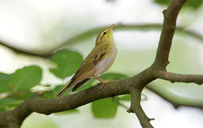 BUITEN BEELD Foto: 41277