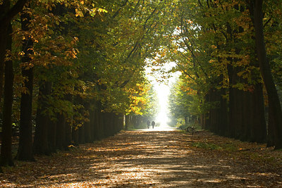 BUITEN BEELD Foto: 41380