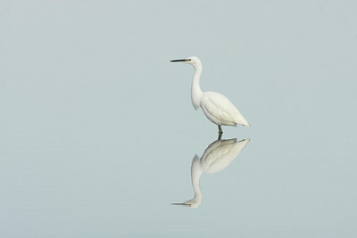 BUITEN BEELD Foto: 41393