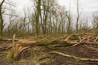 BUITEN BEELD Foto: 41426