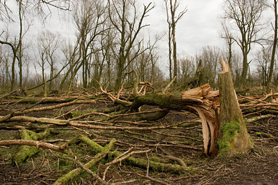 BUITEN BEELD Foto: 41427