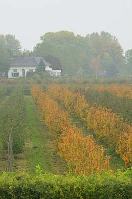 BUITEN BEELD Foto: 41481