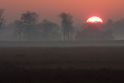 BUITEN BEELD Foto: 41488