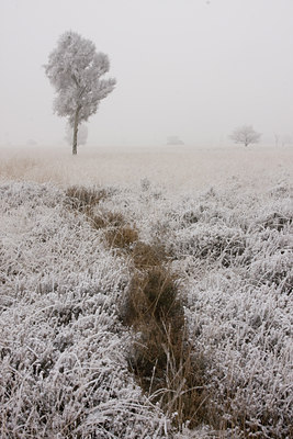 BUITEN BEELD Foto: 41577
