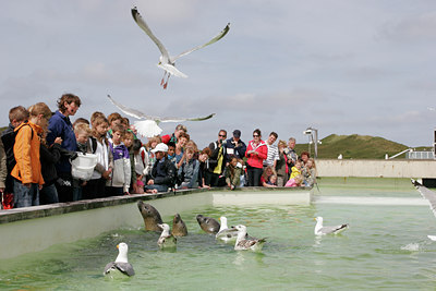 BUITEN BEELD Foto: 41578