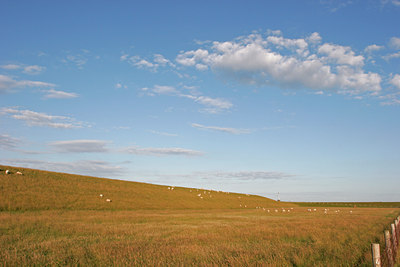 BUITEN BEELD Foto: 41595