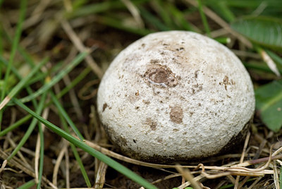 BUITEN BEELD Foto: 41599
