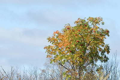 BUITEN BEELD Foto: 41602