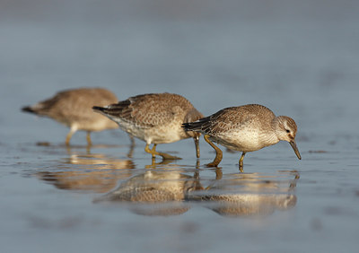 BUITEN BEELD Foto: 41623