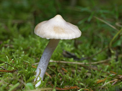 BUITEN BEELD Foto: 41649