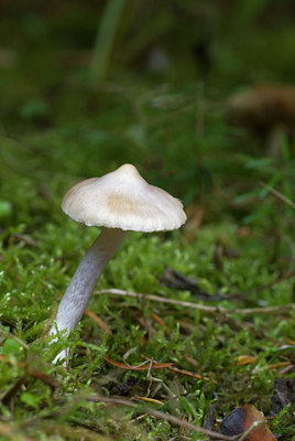 BUITEN BEELD Foto: 41684