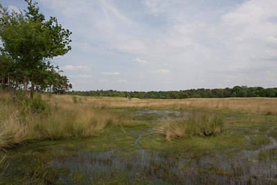 BUITEN BEELD Foto: 41688