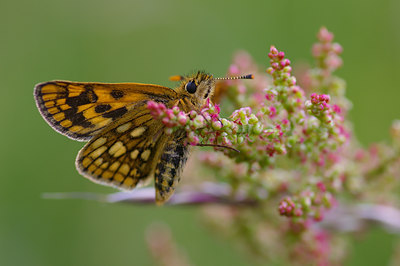 BUITEN BEELD Foto: 41697