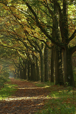 BUITEN BEELD Foto: 41702