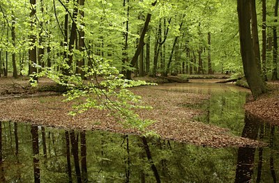 BUITEN BEELD Foto: 41736