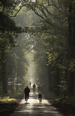 BUITEN BEELD Foto: 41745