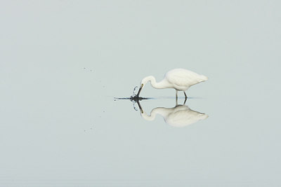 BUITEN BEELD Foto: 41756