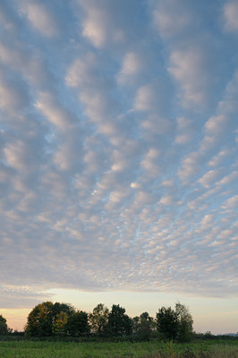 BUITEN BEELD Foto: 41813