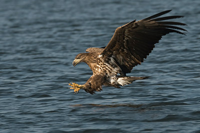 BUITEN BEELD Foto: 41831