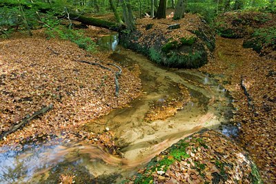 BUITEN BEELD Foto: 41864