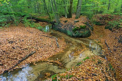 BUITEN BEELD Foto: 41865