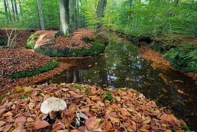 BUITEN BEELD Foto: 41869