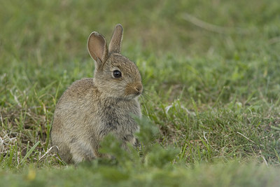 BUITEN BEELD Foto: 41886