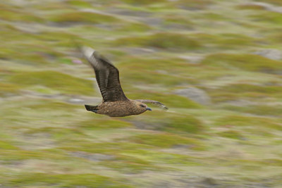 BUITEN BEELD Foto: 41900