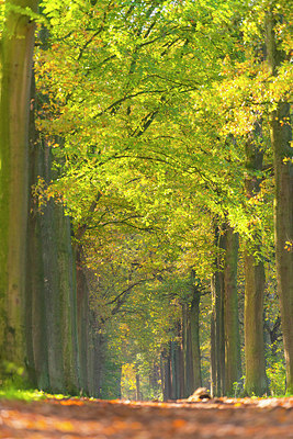 BUITEN BEELD Foto: 419019