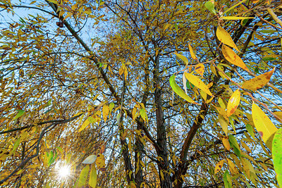 BUITEN BEELD Foto: 419029
