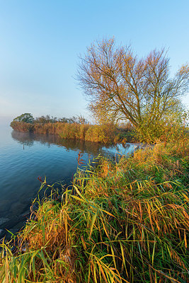 BUITEN BEELD Foto: 419030