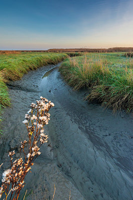 BUITEN BEELD Foto: 419035