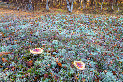 BUITEN BEELD Foto: 419043