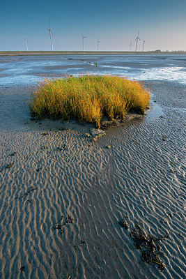 BUITEN BEELD Foto: 419061