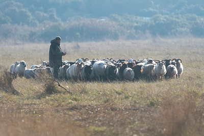 BUITEN BEELD Foto: 419064